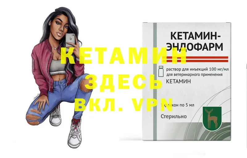 где купить наркоту  МЕГА сайт  Кетамин ketamine  Трубчевск 